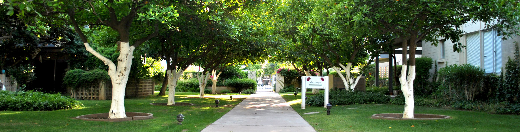 Hibiscus Biltmore Apartments Photo Tour